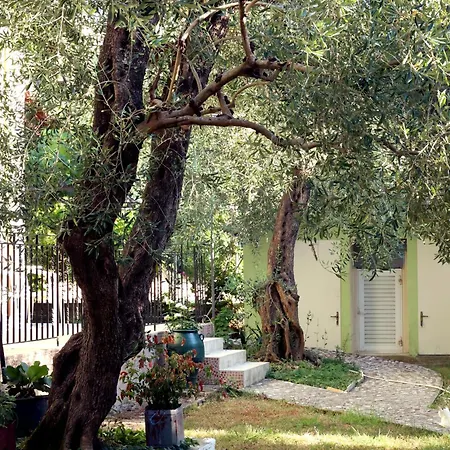 House New Casa vacanze Sfakerá