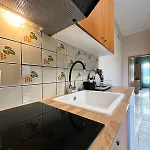 Case de vacanță House New *